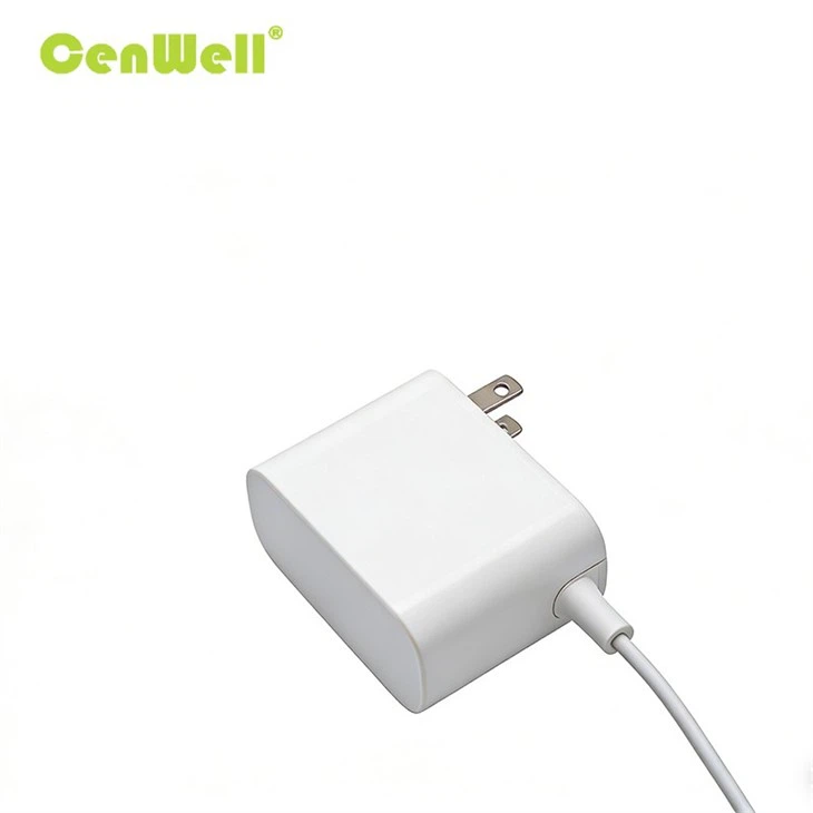 36W 5V 12V 24V Wall-mounted GaN AC Power Adapter US Plug factory