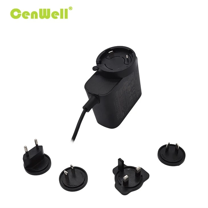 Interchangeable Plug AC DC Power Adapter